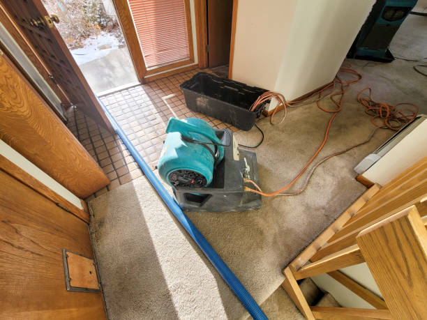Best Residential water damage restoration  in Joshua Tree, CA