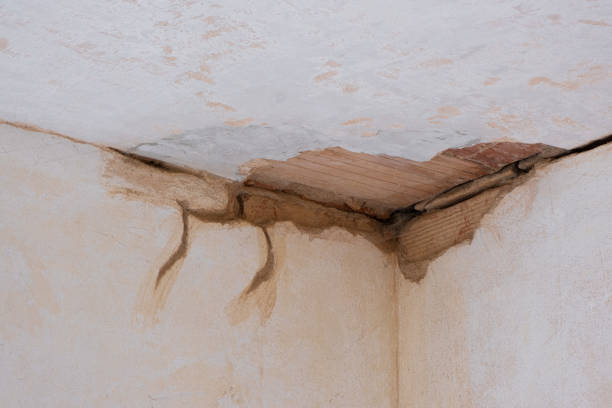 Best Water damage contractors near me  in Joshua Tree, CA