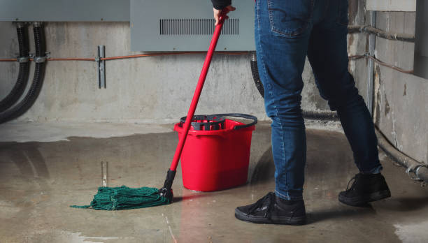 Best Flooded house restoration  in Joshua Tree, CA