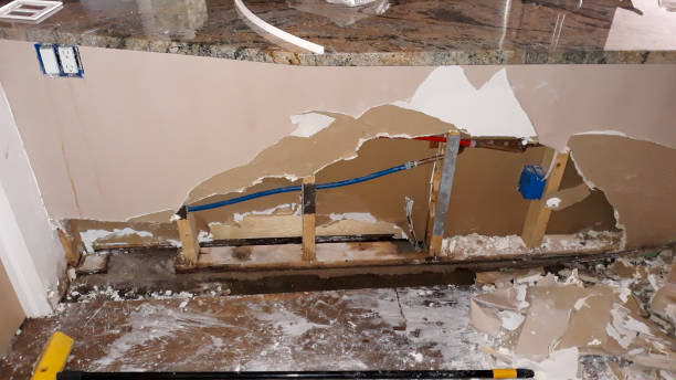 Best Fire Damage Restoration  in Joshua Tree, CA