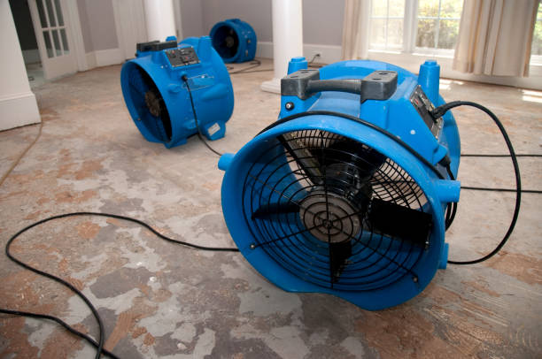 Best Professional water damage repair  in Joshua Tree, CA