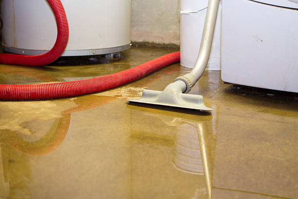 Best Water damage restoration near me  in Joshua Tree, CA