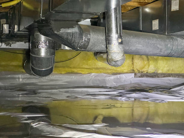 Best Flood damage cleanup  in Joshua Tree, CA