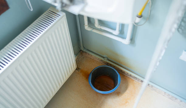 Best Mold removal after water damage  in Joshua Tree, CA