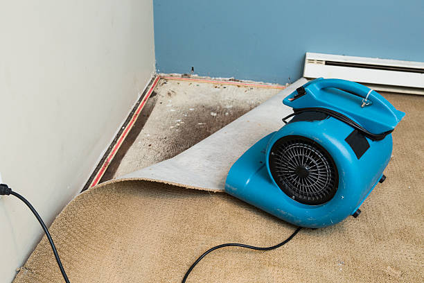 Best Commercial water damage restoration  in Joshua Tree, CA